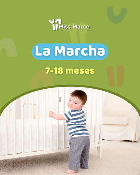 Qué Edad Empiezan A Las Cuantos Meses Gatean Los Bebes Gatear Mi