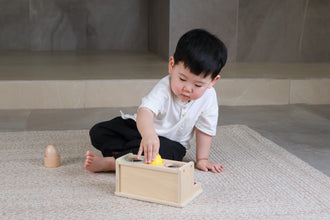 Stage 2 Kit (6-12 months)