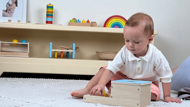 Stage 2 Kit (6-12 months)