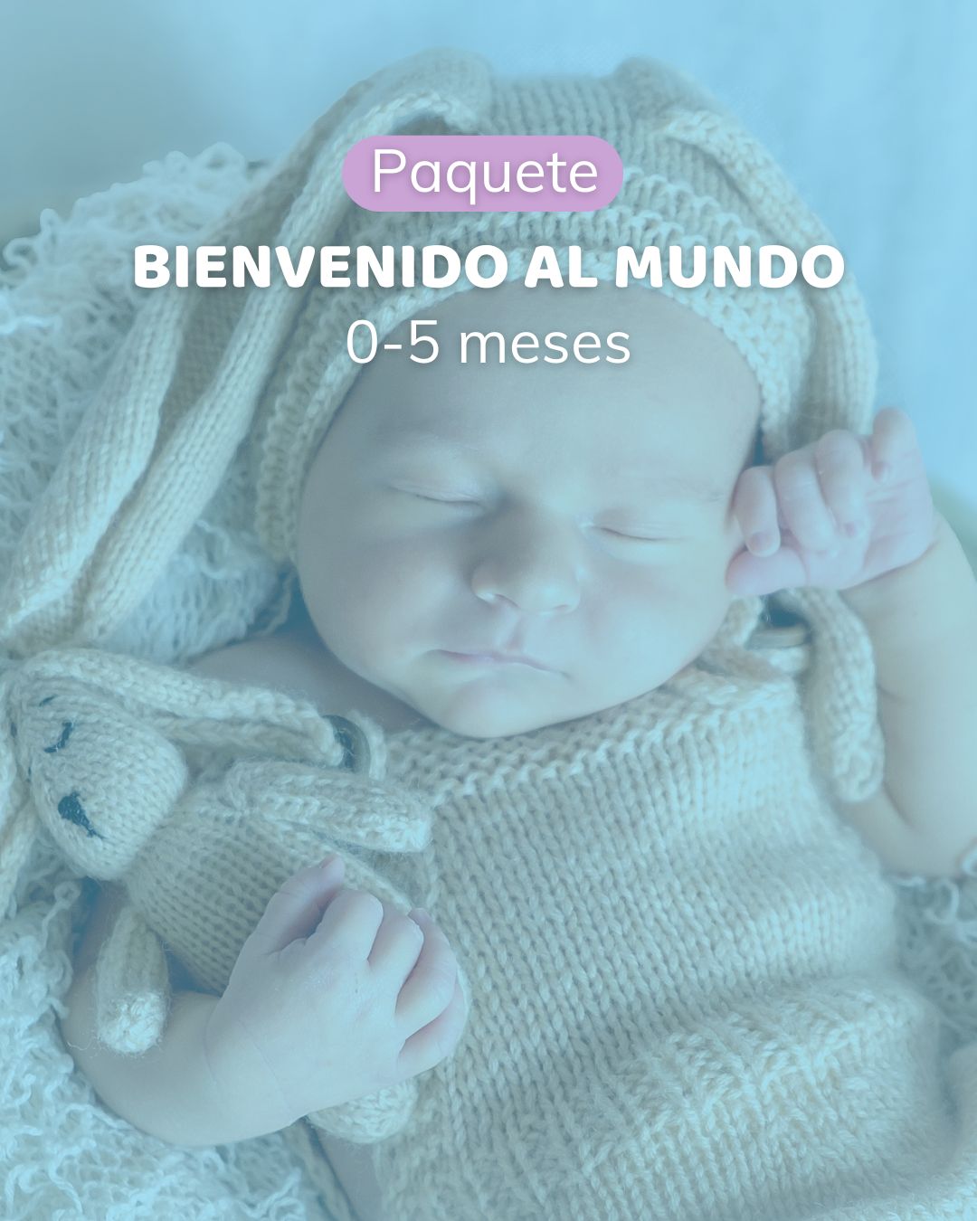 Bienvenido al mundo (0-5 meses)