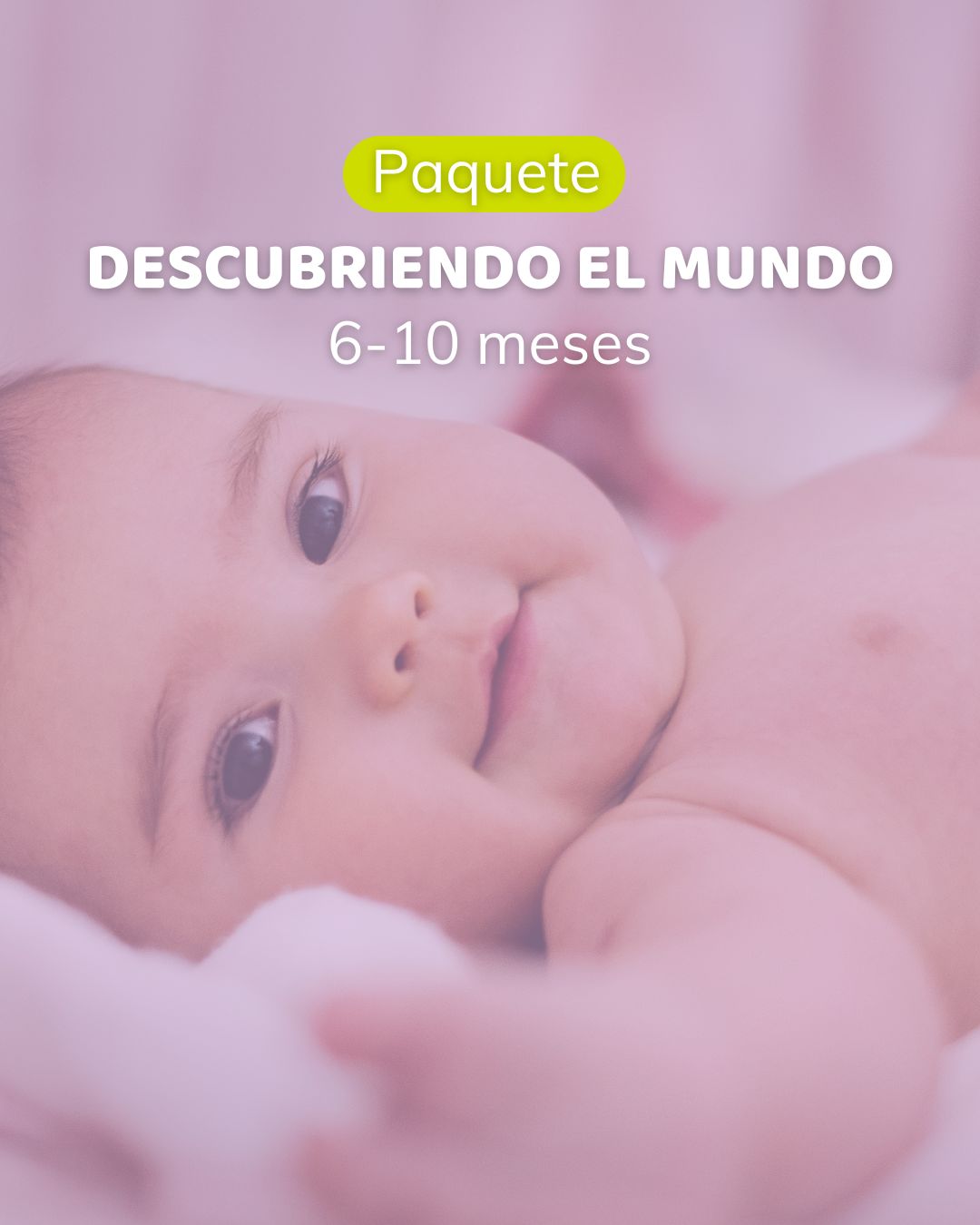 Descubriendo el Mundo (6-10 meses)